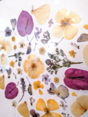 Tableau de fleurs séchées jaune et rose fuchsia détail