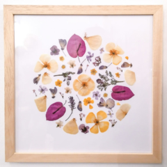 Tableau de fleurs séchées encadré jaune et rose fuchsia